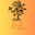 Kandé Secret's logo
